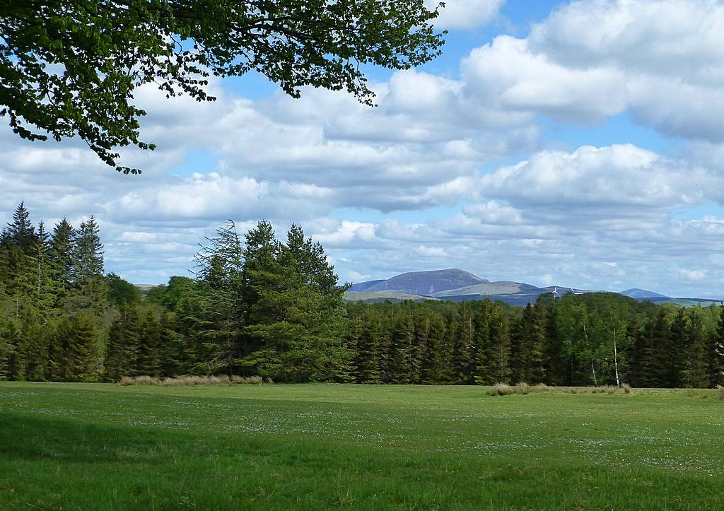 View of Tinto across golf course from Cumberhead Road. 3rd June 2015